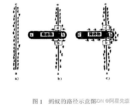 java基于蚁群算法路由选择可视化动态模拟