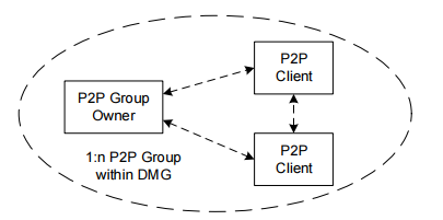 P2P components and topology when operating within DMG