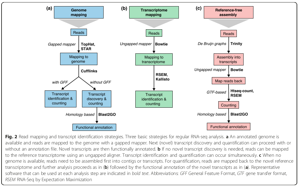 RNA-seq Review：RNA-seq数据分析