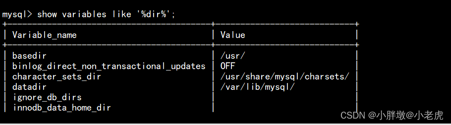 Docker容器安装Mysql数据库