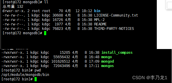 01，MongoDB基础介绍，基于5.0.5_docker mongodb 5.0-CSDN博客