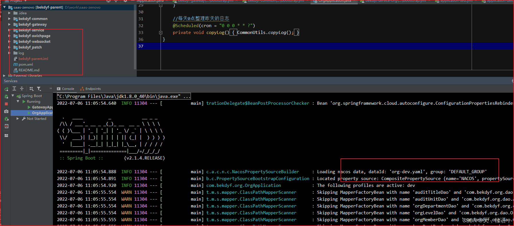 错误读取Injection of autowired dependencies failed_injection of nacosvalue