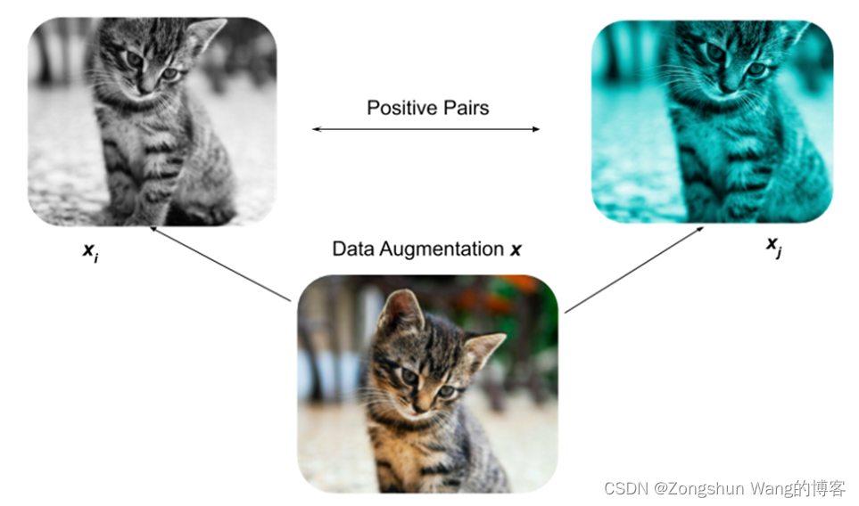 【三维点云分割】——个人学习总结 Contrastive Boundary Learning for Point Cloud ...