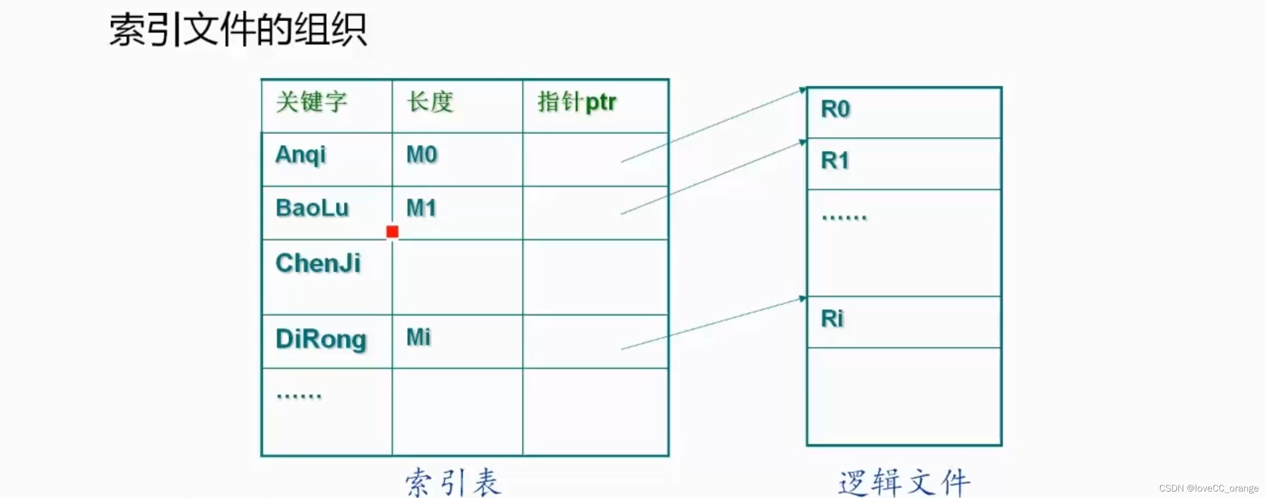 图片11