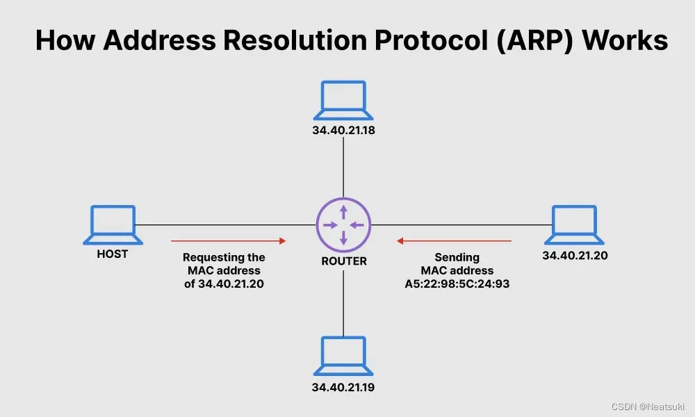 什么是地址解析协议 （ARP）？