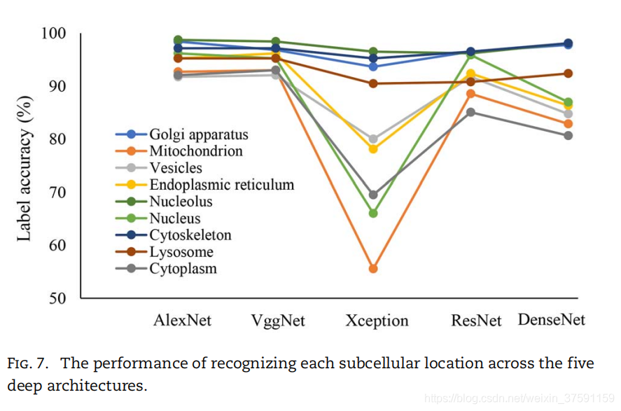 论文解读《Protein subcellular localization based on deep image features and criterion learning strategy》