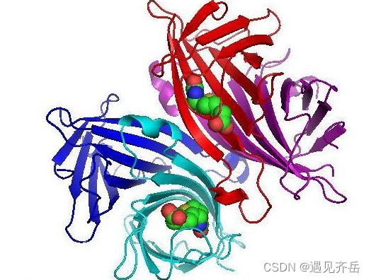 麦芽糖-链霉亲和素maltose-Streptavidins链霉亲和素-PEG-麦芽糖