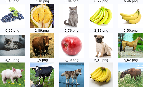 ▲ 图1.1.1  智能视觉组中的动物与水果