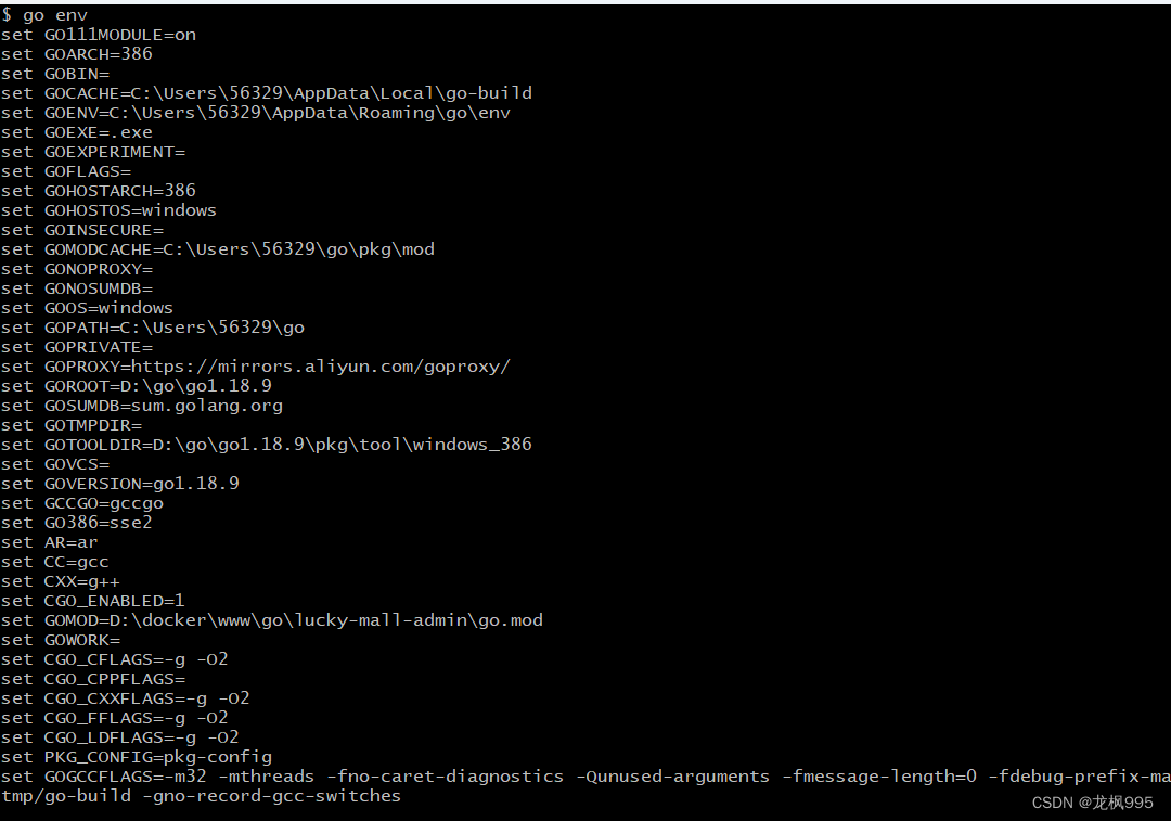 go env 配置(环境变量)说明