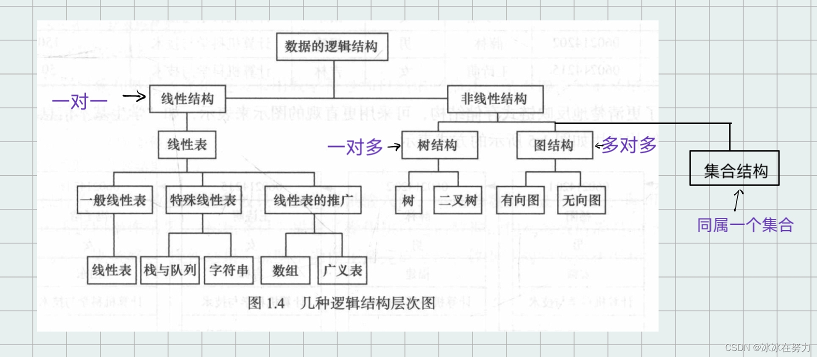 数据的逻辑结构