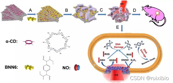 MoS2-BNN6