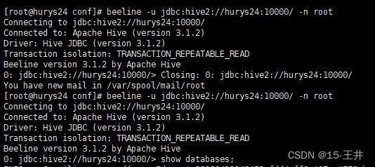 Kettle8.2.0连接Hive3.1.2(踩坑，亲测有效)