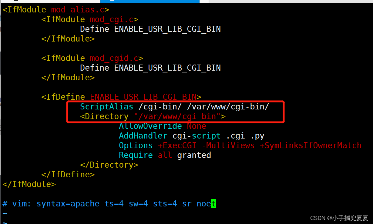 Apache2服务器中配置CGI_apche2 cgiCSDN博客