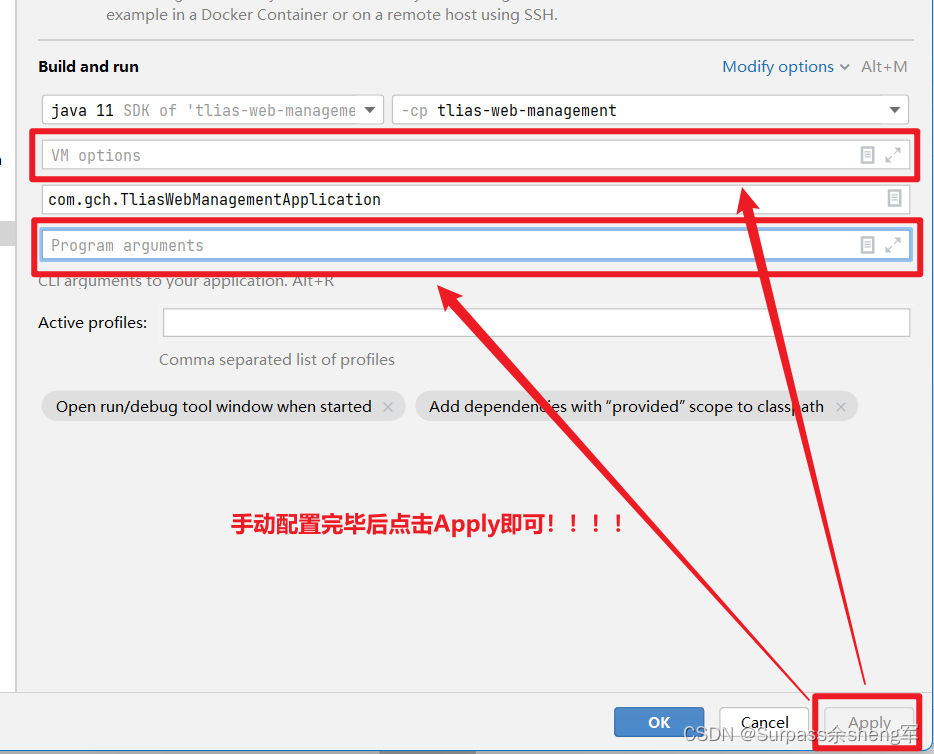 IDEA中Run/Debug Configurations添加VM options和Program arguments