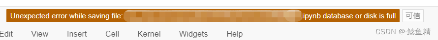 linux服务器使用jupyter notebook时提示磁盘已满“Unexpected error while saving file:ipynb database or disk is full”