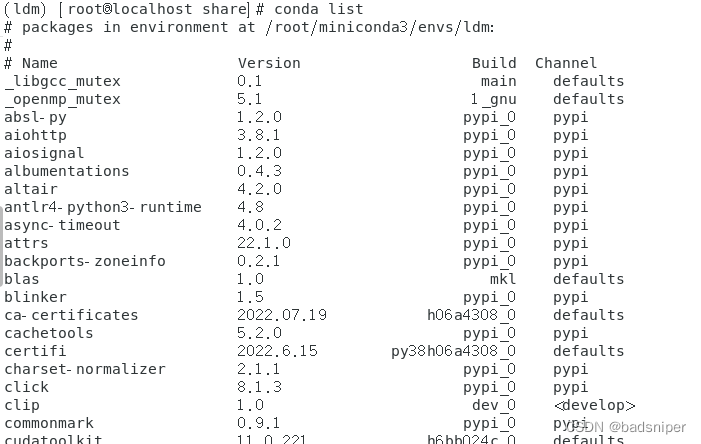 conda list