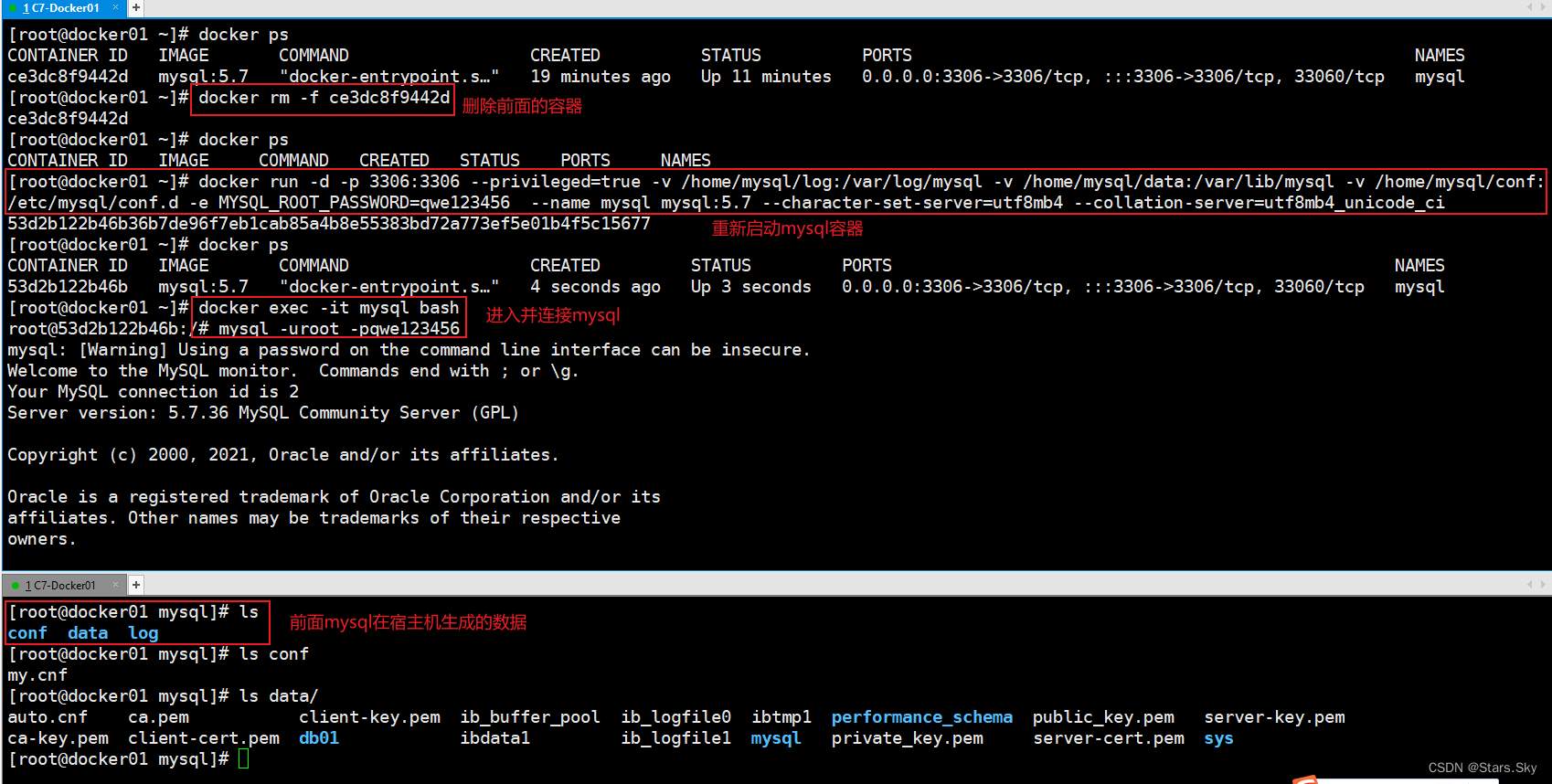 【云原生 | Docker 基础篇】09、Docker 常规安装软件步骤