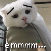 求求了~