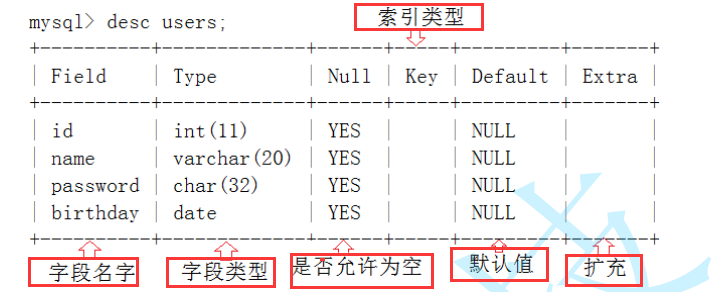 表结构的具体解释