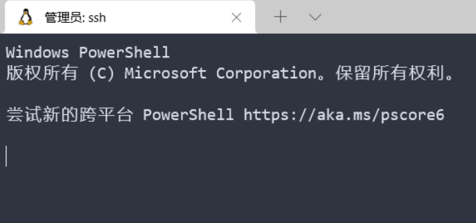 Windows Powershell 报错 [启动“powershell.exe”时出现错误 0x8007010b]解决方案_windows ...
