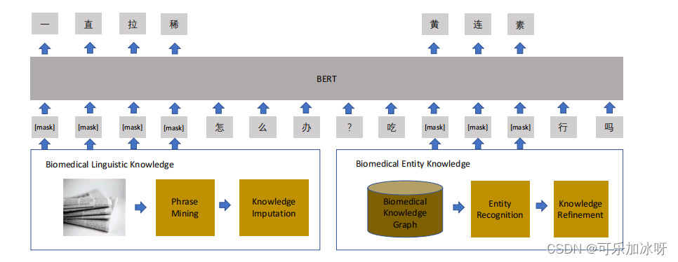 概念化的表示学习(MC-BERT)模型的结构。我们利用整个实体掩蔽掩盖实体“小檗连素”,整个跨度掩蔽掩盖短语“经常腹泻”,明确地注入生物医学知识。