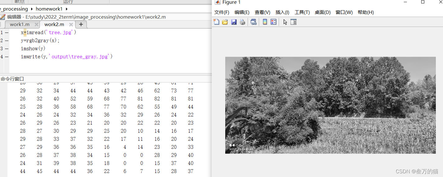 matlab数字图像处理——图像的读写，灰度、二值图像_运用 matlab 软件读取经过预处理后的图像,可以得到图像的灰度矩阵,以 灰度矩阵中 ...