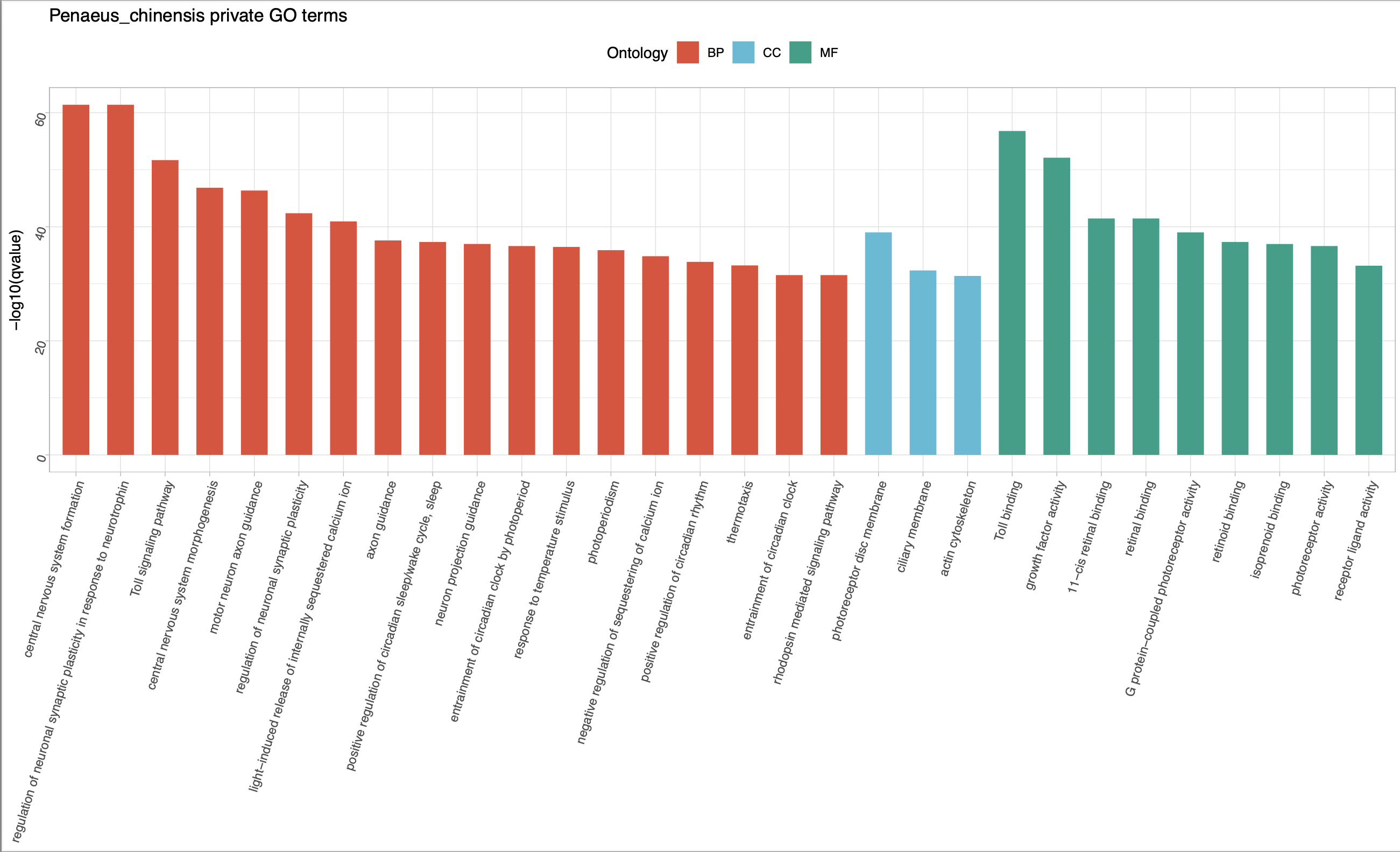 非模式生物GO富集分析（结合eggnog mapper注释）_golang_m0_73361516华为开发者空间