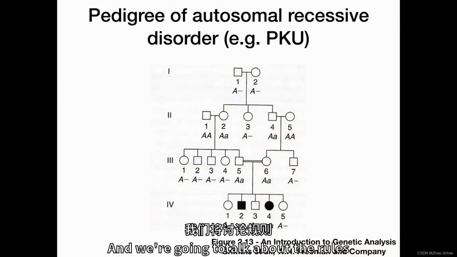 【Introductory Biology】Lecture 13 - Genetics 2 - Rules Of Inheritance 遗传 ...