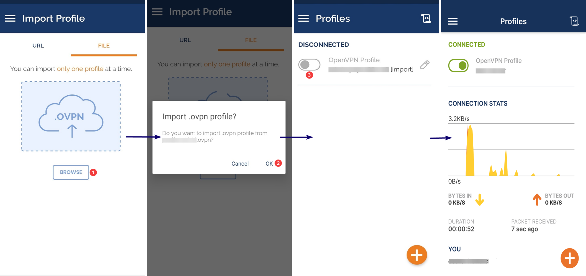 Connecting to the OpenVPN server