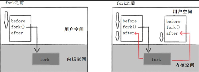 [外链图片转存失败,源站可能有防盗链机制,建议将图片保存下来直接上传(img-Fbyr8z1M-1668515539935)(https://gitee.com/du-weiwei/typora/raw/master/image-20220311175811031.png)]
