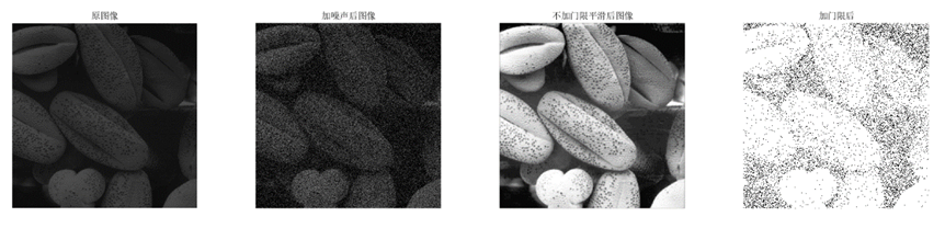 图7. Pollen原图、加噪声图像、处理后图像