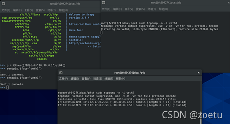 【P4lang】P4环境配置及编译-CSDN博客