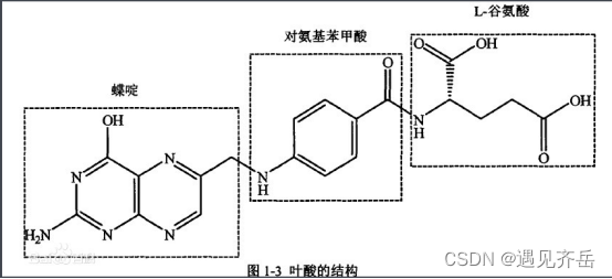 葡萄糖-聚乙二醇-四嗪/叶酸/多巴胺 Glucose-PEG-TZ/FA/Dopamine