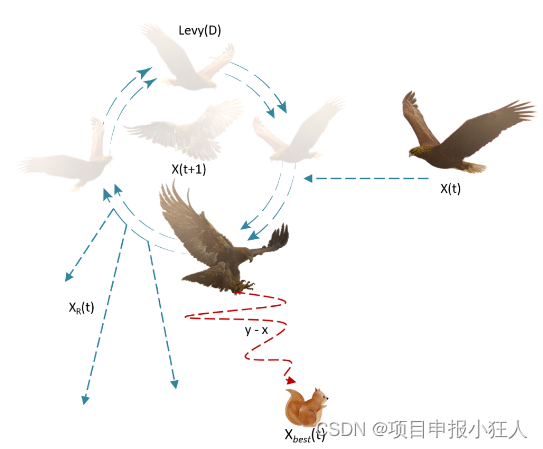 図 2: ショートグライド攻撃時のアクイラ輪郭飛行挙動