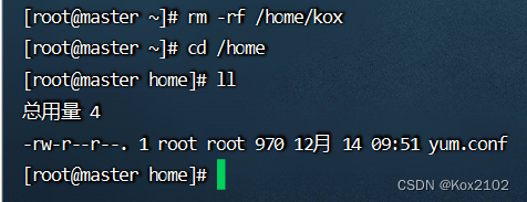 Linux常用目录操作及示例操作