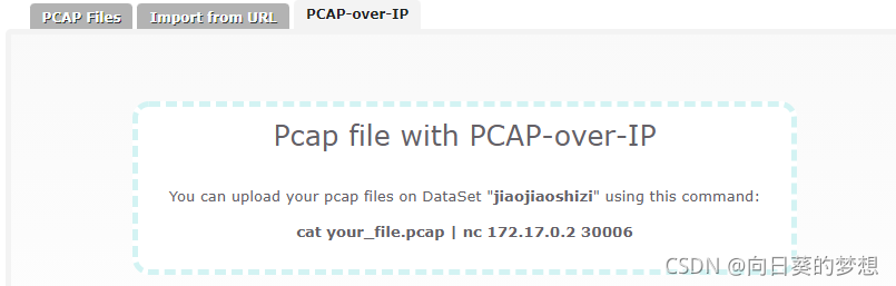 CapAnalysis Pcap分析工具_pcap文件解析工具-CSDN博客