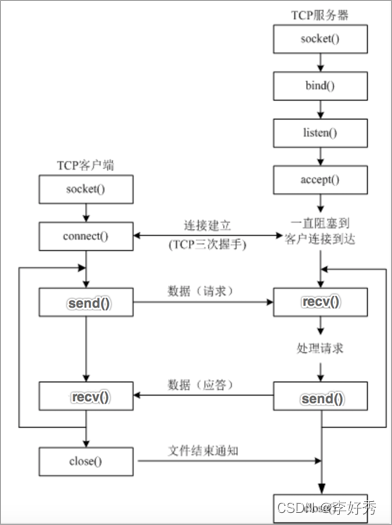 TCP客户端程序开发流程