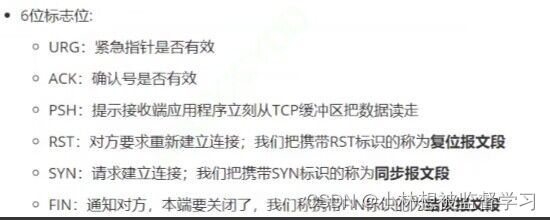 TCP数据报结构分析（面试重点）