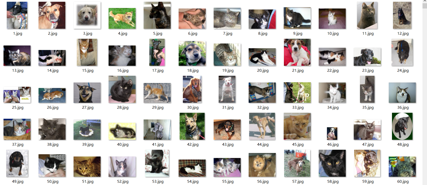 test目录下的图像