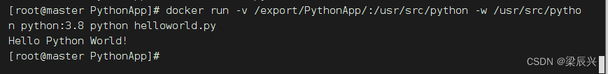 Docker 安装 Python