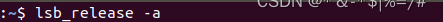 输入lsb_release -a