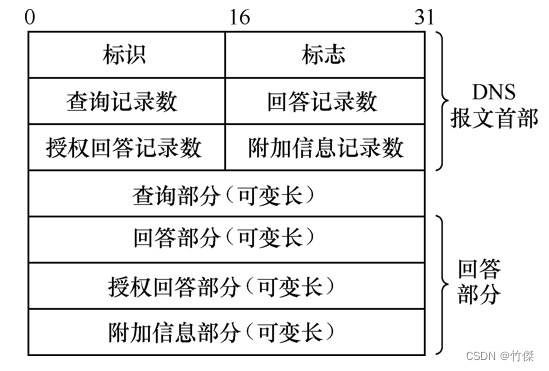 dns报文结构