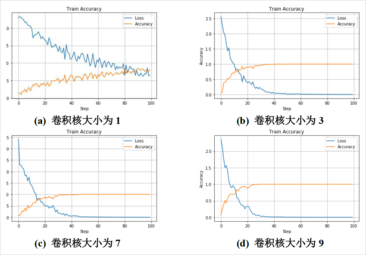 ▲ 图2.2.1 不同卷积核网络训练过程