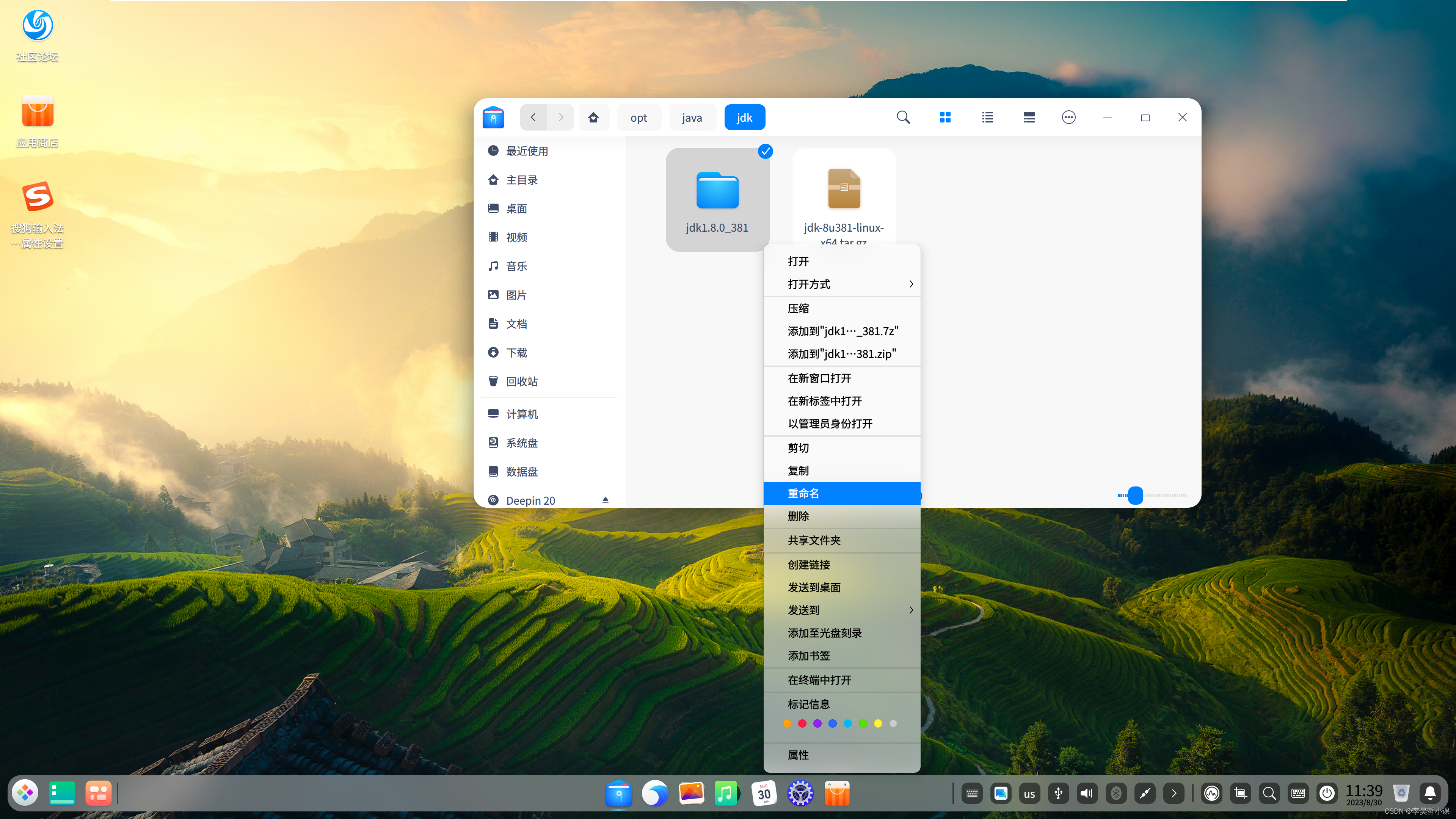 deepin jdk