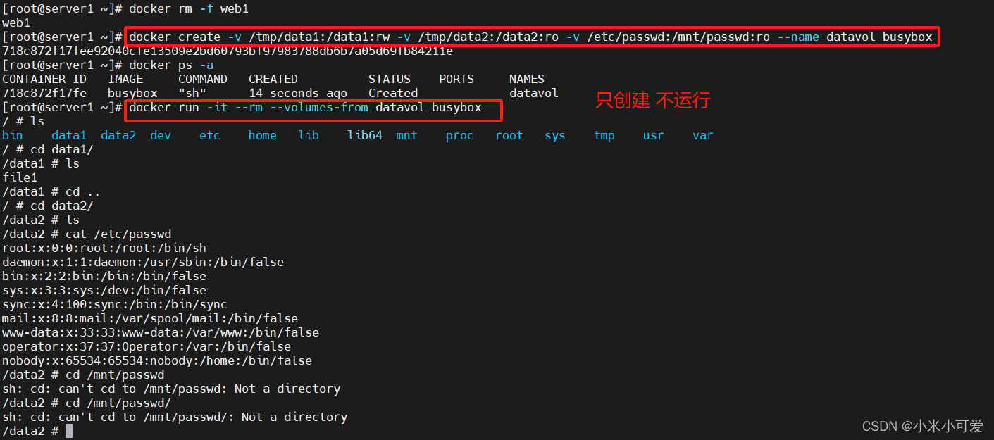 docker容器技术实战-3