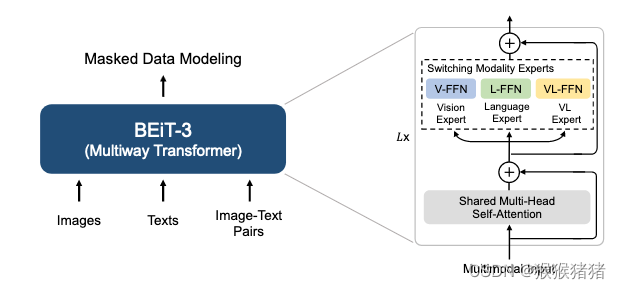 BLIP model