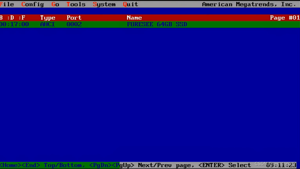 IDE Identify查看硬盘选中